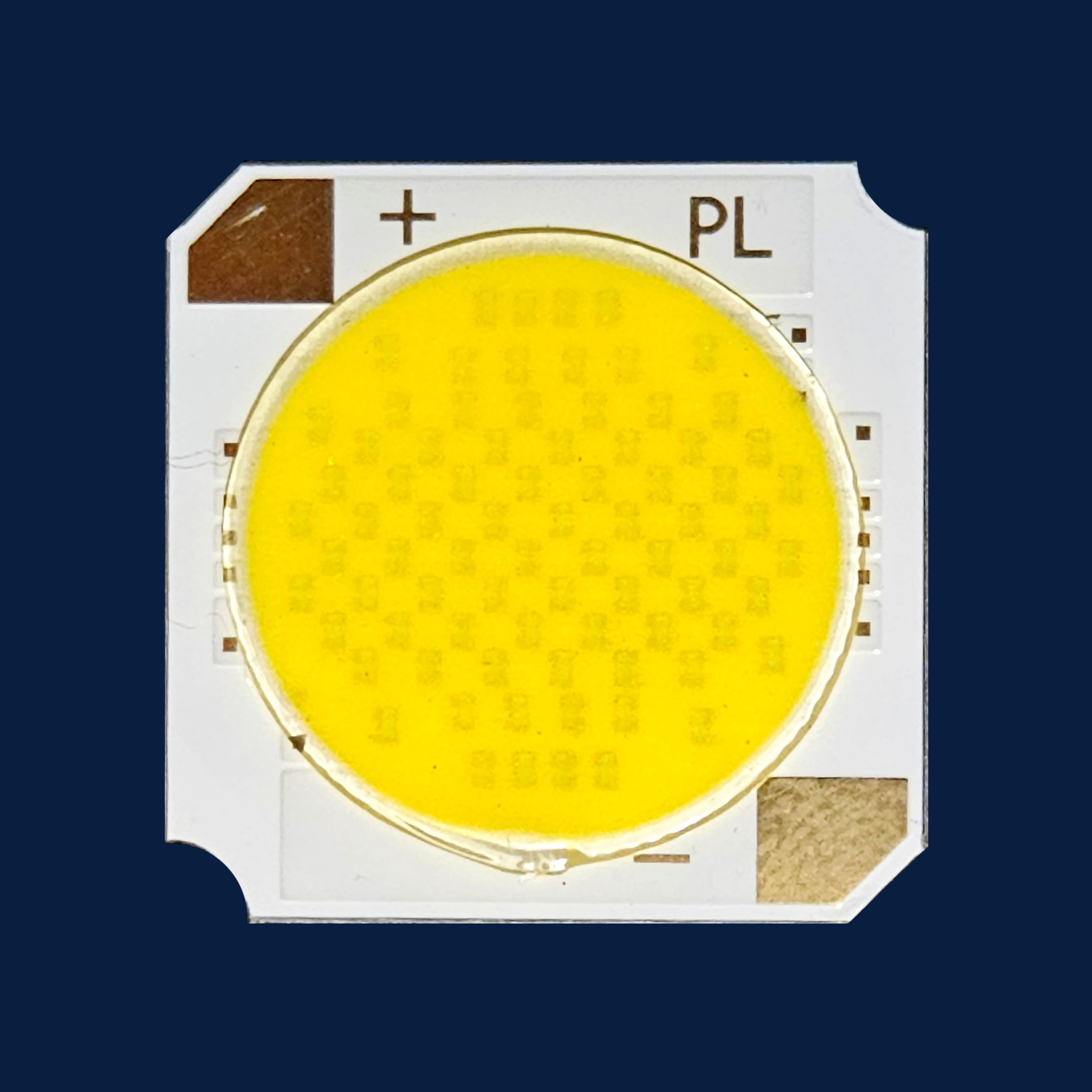 PL-1919-W
